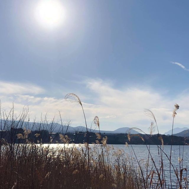河口湖自然生活館‼️欣賞大自然之美🫶🏻富士山🗻下的浪漫💕