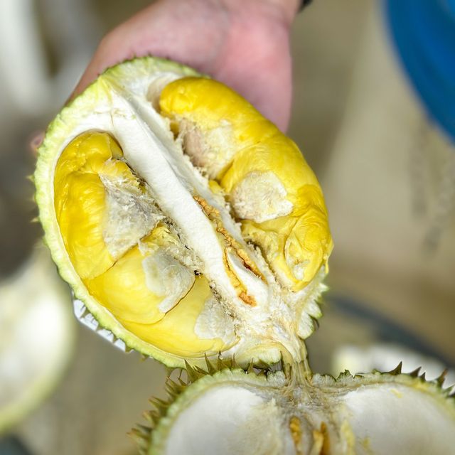 ตะลุยกินทุเรียนหน้าสวน จ. พังงา