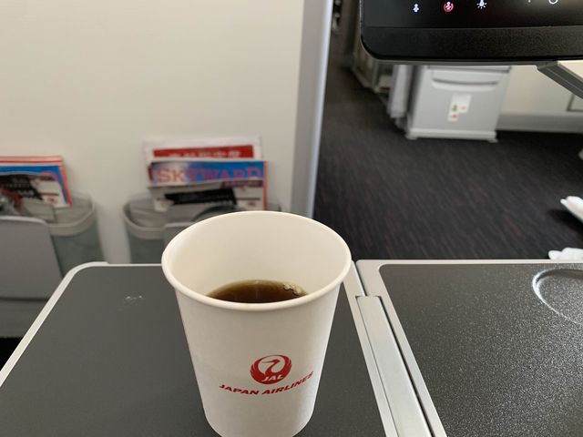 JAL JAL国際線エコノミー席でも楽々フライト！