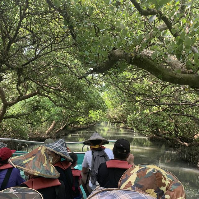 台南景點-四草綠色隧道