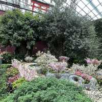 Flower Dome (GBTB) - Singapore