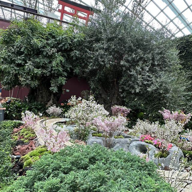 Flower Dome (GBTB) - Singapore