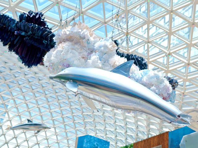 🐬🐬活潑海豚空中海洋暢泳