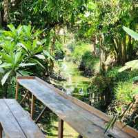 บ้านมีสวน คาเฟ่ บางใหญ่ นนทบุรี