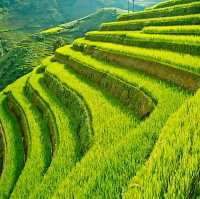 Tây Bắc Việt Nam