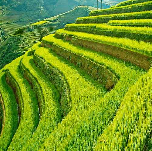Tây Bắc Việt Nam
