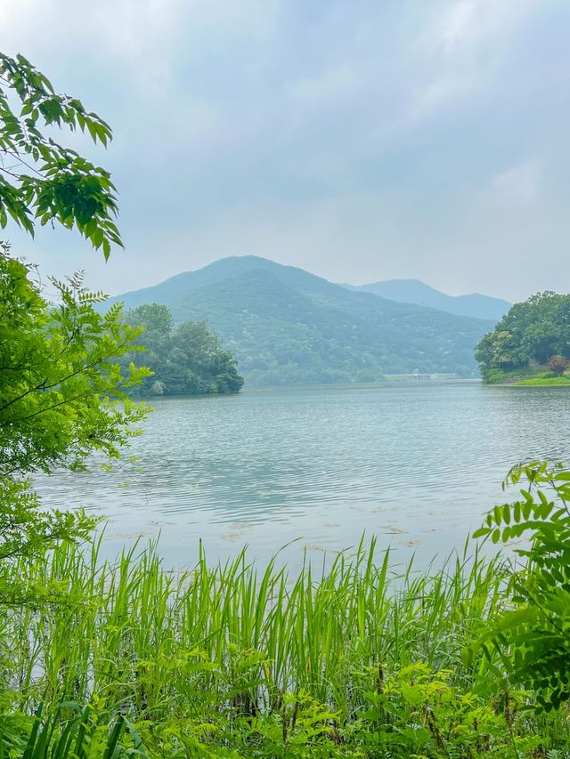 푸릇한 자연속에서 힐링한 다산생태공원💚