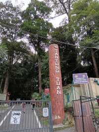 Tanjung Tuan Recreational Forest ✨