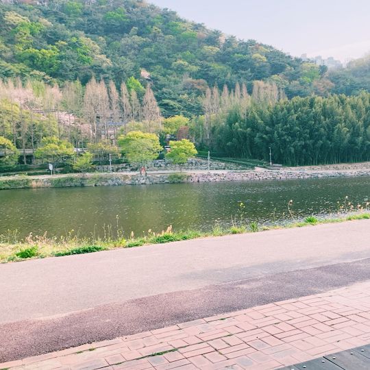 🌙如果可以試下夜遊十里竹林就好喇🎋