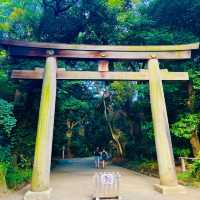 Meiji Jingu Shrine