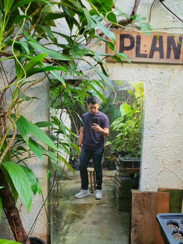 โบทานิก คาเฟ่