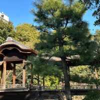 🏯🌸🍃涉成園～和風庭園的魅力🎎😄