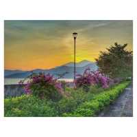 週末坪洲遊。南灣村