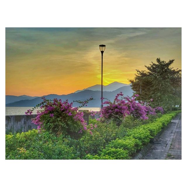 週末坪洲遊。南灣村