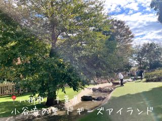 Doggy's Island, Koyaru Village @Chiba Prefecture 🐕‍🦺
