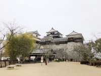 🏯四國愛媛松山城：江戶歷史、花海襯古城🏯