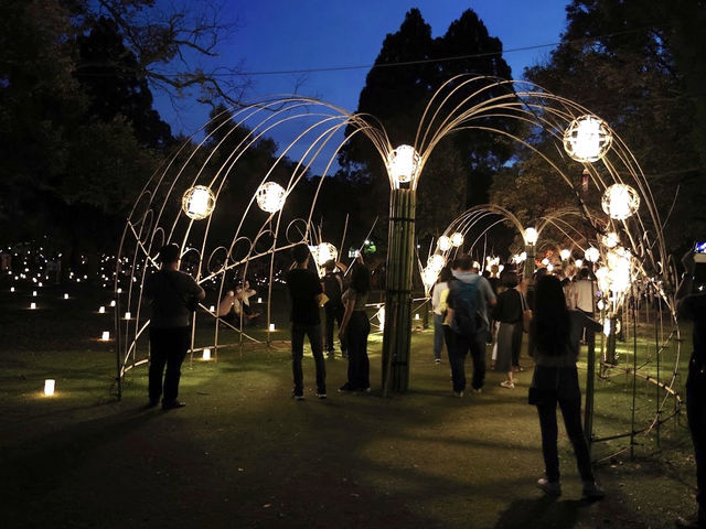 เทศกาลเทียนไขนาราโทคาเอะ Nara Tokae Festival