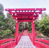 ✨佛山~展旗峰生態公園✨