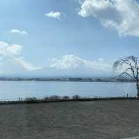 【日本】河口湖 大石公園｜據說看到富士山🗻會幸運一整年唷！