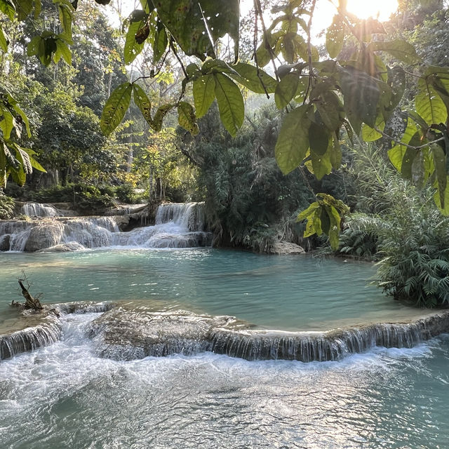 Christmas Magic in Luang Prabang 