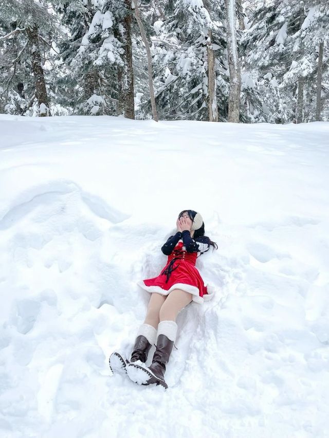 머리까지 쌓인 눈을 볼 수 있는 일본 설경 스팟❄️