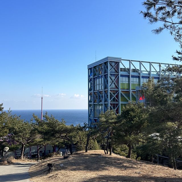 강원도 강릉 겨울여행지 하슬라 아트월드