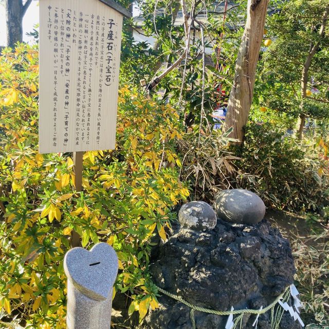 多摩川が一望できる絶景 - 多摩川浅間神社 -