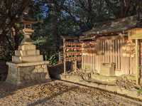 【名古屋】熱田神宮：日本三大神宮之一，參拜路線，周邊美食
