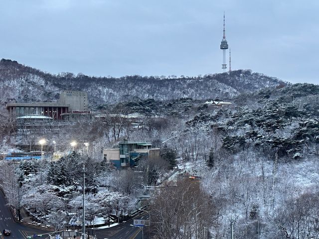 서울 신라호텔 이그제큐티브 그랜드 디럭스 호캉스🤍