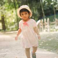 น้ำตกธารโบกขรณี