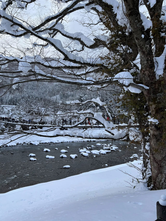 ฟินสุดๆ กับหมู่บ้าน Shirakawa-go ในวันที่หิมะฟู