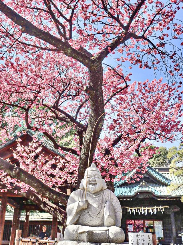 【東京】既に満開の桜が咲くパワースポット
