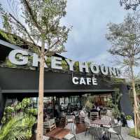 Greyhound cafe