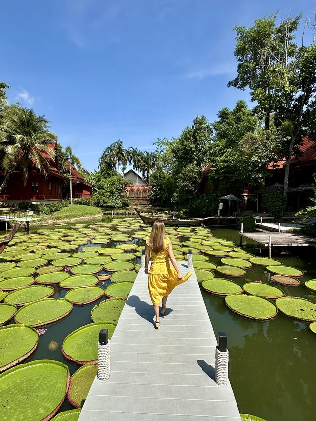 Phuket Viral Cafe you shouldn't miss 🪷