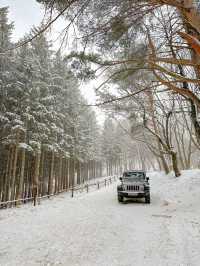 북유럽 감성 대관령 설산 명소🗻⛄️