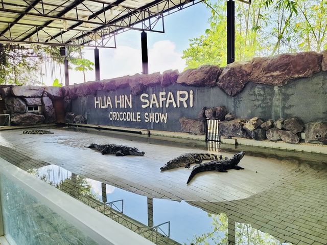 Hua Hin Safari & Adventure Park 