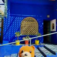 《摩洛哥-YSL秘密花園Jardin Majorelle 》
