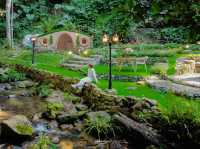 ที่พักกลางป่าที่โอบล้อมไปด้วยธรรมชาติ 