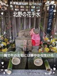 北野天満宮【北野の花手水】撫で牛の両脇の生花が華やかで綺麗