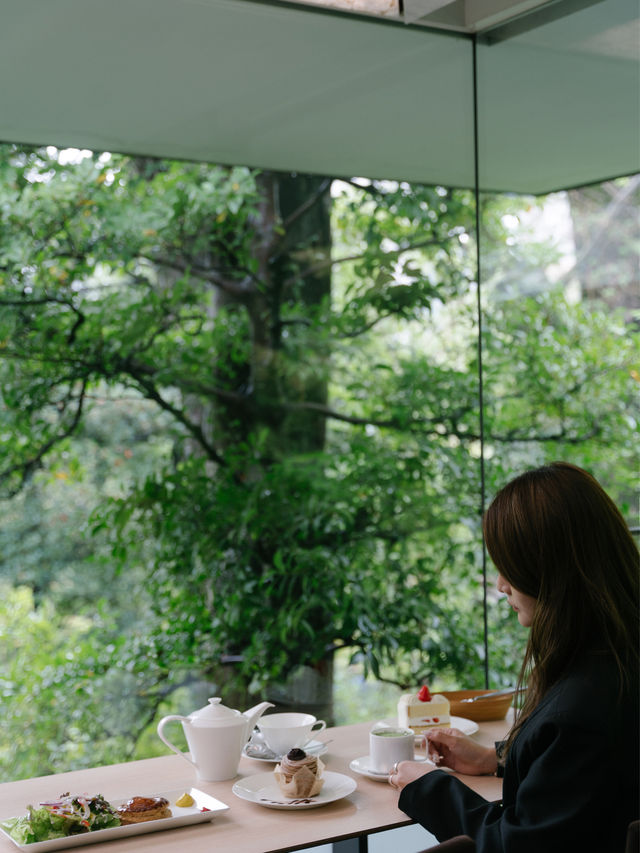 東京景點 | 根津美術館