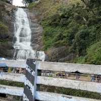 Tranquil Oasis: Kodaikanal’s Timeless Charm