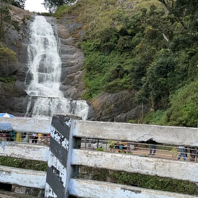 Tranquil Oasis: Kodaikanal’s Timeless Charm
