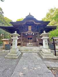 【住吉神社/東京都】レトロと猫の町で知られる神社