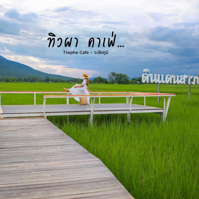 คาเฟ่วิวทุ่งนาเขียวบรรยากาศดีมาก ชัยภูมิ