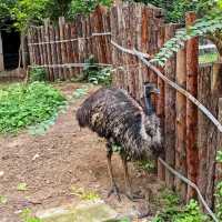 天王寺動物園～特色動物園