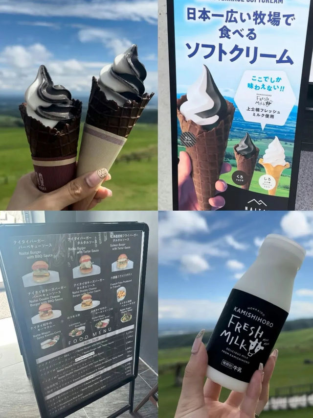 入場無料‼️【📍北海道】東京ドーム385個分の日本一広い牧場に、2,000頭の牛が自由に遊ぶ絶景🐄🐄🐄