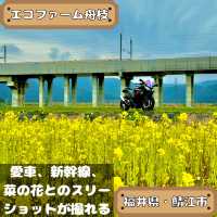 エコファーム舟枝