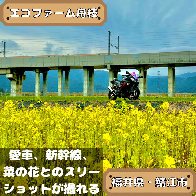 エコファーム舟枝