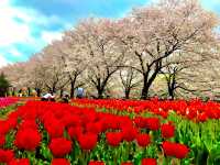 Fukaya Green Park
