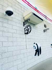 免費親子活動❣️睇熊貓🐼